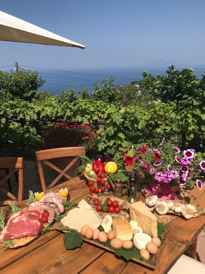 Séjour à la ferme Del Sole Anacapri (Isola di Capri)